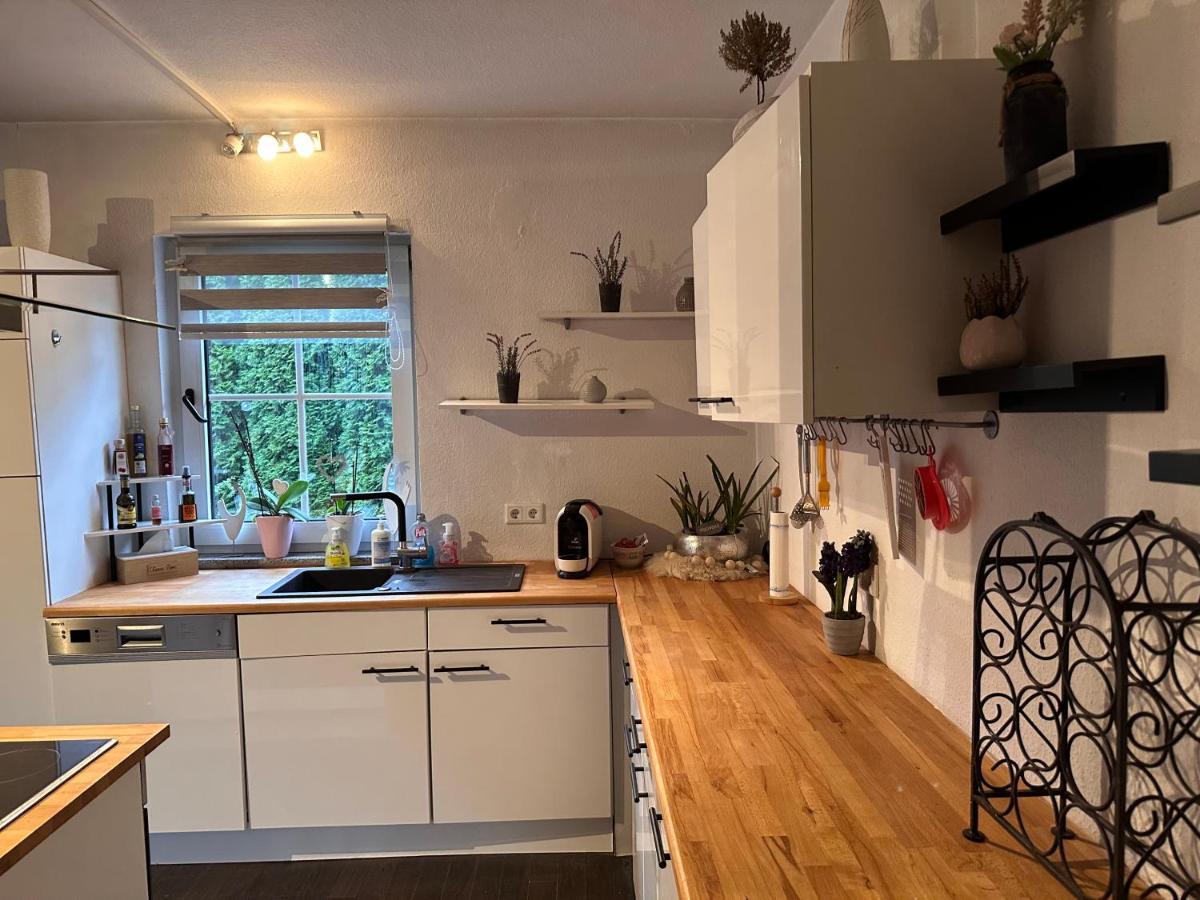 4 Zimmer 11 Personen Wohnung Garten Terrasse Grill 2 Badezimmer Wuppertal Eksteriør bilde